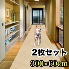 Item thumbnail for item b874e7f3-091a-4faf-8ad3-b17d3603b4c8