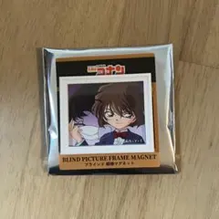 GLOBAL WORK グローバルワーク コナン 額縁マグネット