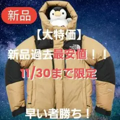 【新品未使用】 バルトロライトジャケット ケルプタン M相当 ND91950