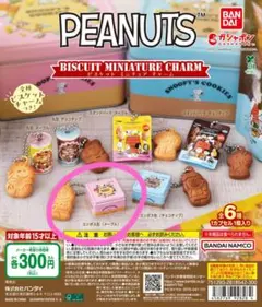 PEANUTS ビスケットミニチュアチャーム　エンボス缶(メープル)