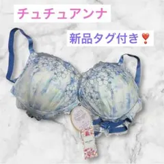 チュチュアンナ☆新品タグ付き☆刺繍デザイン　ブラジャー E75