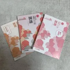 大学入学共通テスト　演習　国語　全8回