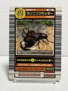 2026年最新】ムシキング2003春の人気アイテム - メルカリ