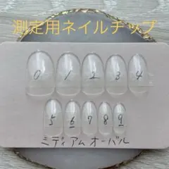 測定用ネイルチップ【ミディアムオーバル】