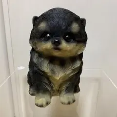 希少ブラックタン子犬　ポメラニアン　犬の置物
