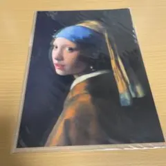 ❌美術館グッズ【7786】　A4版ファイル　真珠の耳飾りの少女（フェルメール） Amazon.co.jp: 『真珠の耳飾りの少女』フェルメール A4 光沢紙