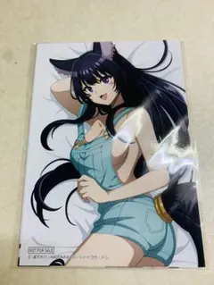 俺の妹がこんなに可愛いわけがない らのべ×トレカ　黒猫　レア 俺の妹がこんなに可愛いわけがない らのべ×トレカ 黒猫 レア - メルカリ
