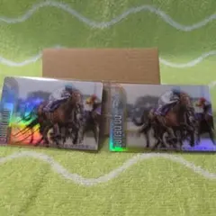 サラブレッドホースコレクション ドゥデュース