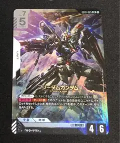 ガンダムカード　フリーダムガンダム　LR おまけ付き