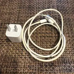 iPhone Apple 充電器 Lightningケーブル セット