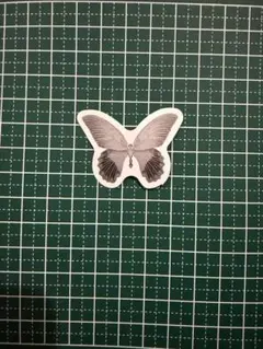 防水ステッカー　蝶　蛾　生き物　虫