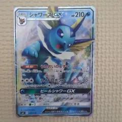 シャワーズGX SMI スターターセット 炎のブースターGX 水のシャワーズG…