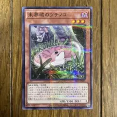 遊戯王　ツチノコ　①