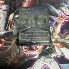 m2008 Foil 336 ボーダーレス アクロゾズの放血者 - メルカリ