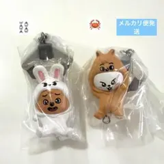 スキズ skzoo ガチャ つまんでつなげてますこっと リービット　ハンクォッカ