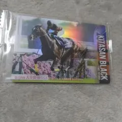 Item thumbnail for item 9cc91cc8-fe19-4b36-989c-10575a9ee008