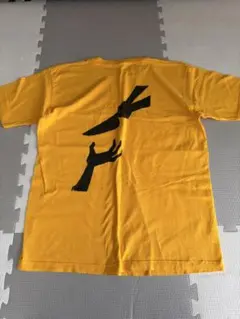 チェスウィック　CHESWICK Tシャツのサムネイル