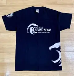 Item thumbnail for item 2ad17bfe-d4a3-488d-81e6-d1a7c1146bd9