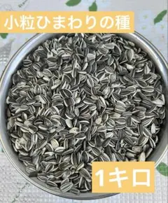 Item thumbnail for item aaa74e1b-696b-42ed-911a-9429c08caa2d