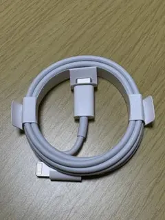 【Apple純正】USB-C to Lightningケーブル