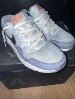 Nike Air Max SC "Ashen Slate"