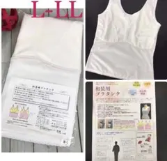 Item thumbnail for item 189b9887-23db-49a7-b735-fba86bd6e5e9