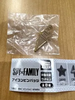 SPY×FAMILY アイコンピンバッジ ヨルのピアス