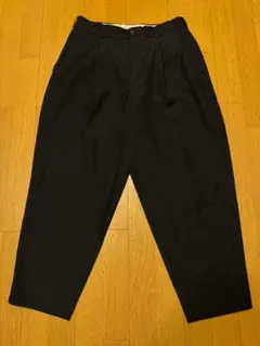 COMME des GARCONS HOMME PLUS ポリ縮 パンツ M