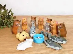ハムスター大量セット エサ付き