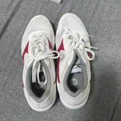 Item thumbnail for item ba6b96c0-666b-4e2b-93ab-3b896d15aa1b