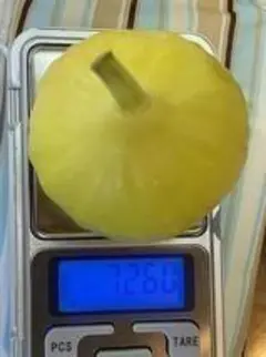 2026年最新】golden riversideの人気アイテム - メルカリ