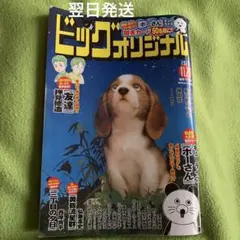 ビッグコミックオリジナル 雑誌