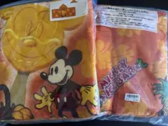 ディズニーリゾート　タオル　フードタオル　アイス柄　2点　お揃い