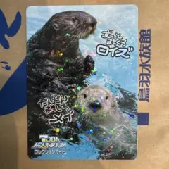 最終値下げ！鳥羽水族館 コレクションカード 70周年記念ラッコ キラ