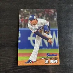カルビー プロ野球チップスカード 2026 東京ヤクルトスワローズ 星知弥