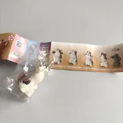 敬礼　猫　みけ猫