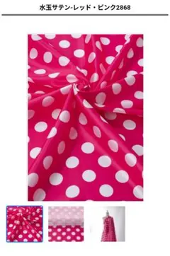 ミニー　ミッキー　パルパルーザ　衣装生地