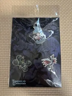 ポケモン プリントメタルチャームセット ダイゴ