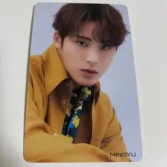 SEVENTEEN ミンギュ ひとりじゃない トレカ HMV