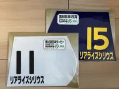 リアライズシリウス 日本ダービー 馬券タオルリボンセット - メルカリ