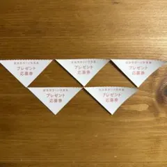 5枚 応募券 葉月つばさ 直筆サイン入りチェキ 抽プレ フライデー
