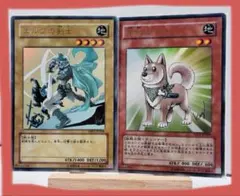 遊戯王　エルフの剣士 柴戦士タロ サイン入り