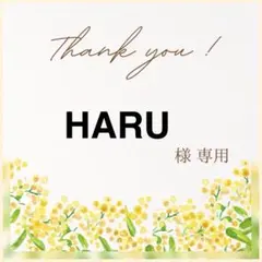 HARU様　専用ページ