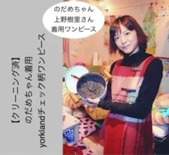 2026年最新】上野樹里着用 のだめカンタービレの人気アイテム - メルカリ