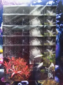 Item thumbnail for item a8d731ff-c116-44de-84a8-9481a7e34a95