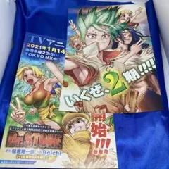 【匿名配送】Dr.STONE Z＝178 カラーページ
