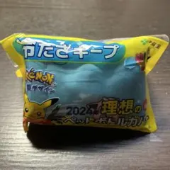 ポケモン ペットボトルカバー　2024年　伊藤園