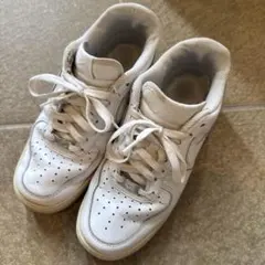 Item thumbnail for item 08c7cfed-4061-4980-96e3-de3951385165