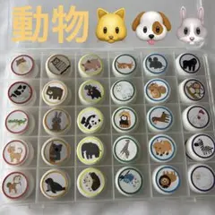 動物　生き物　絵合わせ　マッチング　モンテッソーリ　知育　教材