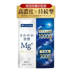 高濃度マグネシウム サプリ ビフィズス菌 オリゴ糖 イヌリン カルシウム 60粒